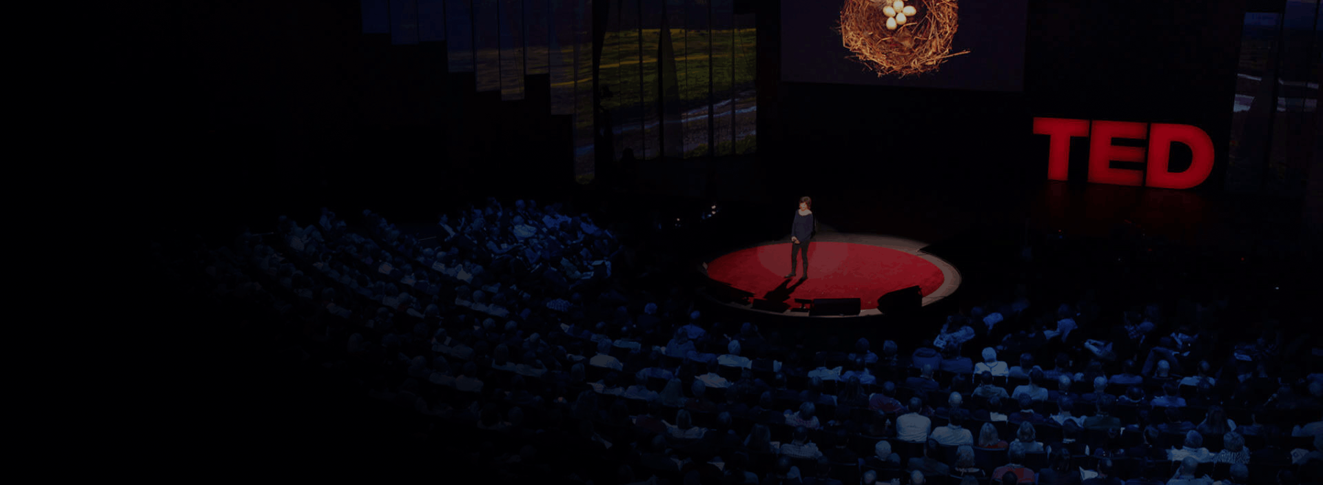 TEDxPalasia stage